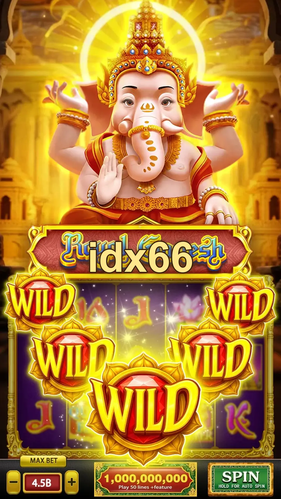 idx66 APK